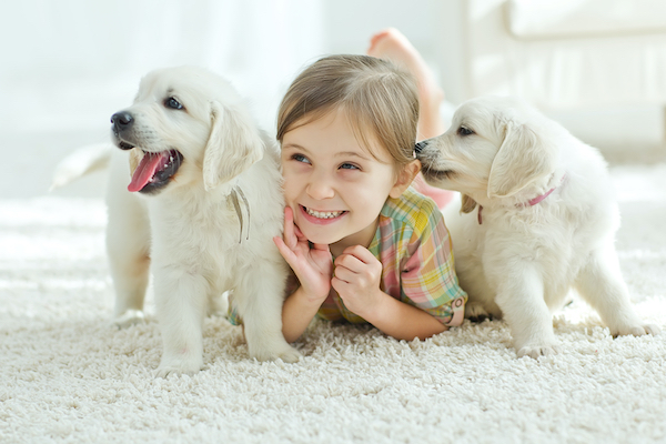produits-veterinaires-pharmacie-des-sports-evron