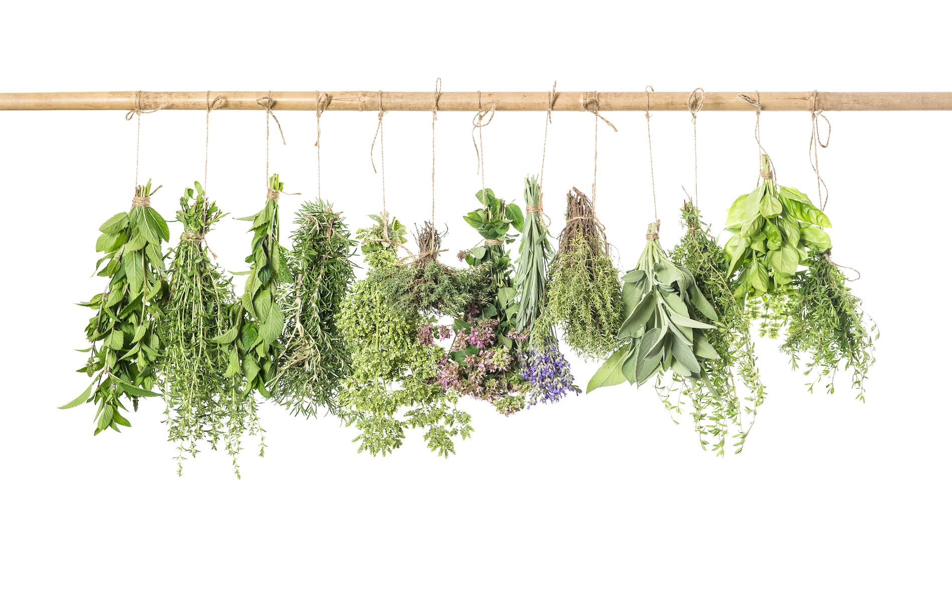 slider-plantes-medicinales-pharmacie-des-sports-evron